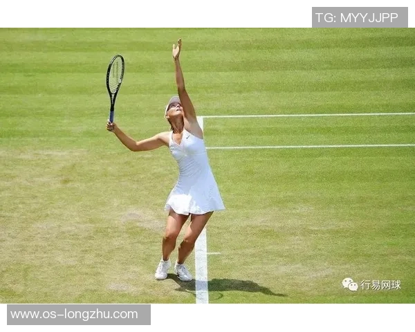 北京网球队防反战术解析：深度剖析网球竞技的策略与技巧