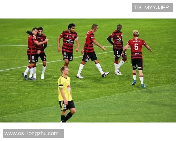 惠灵顿与布里斯班12的精彩对决分析及赛季展望