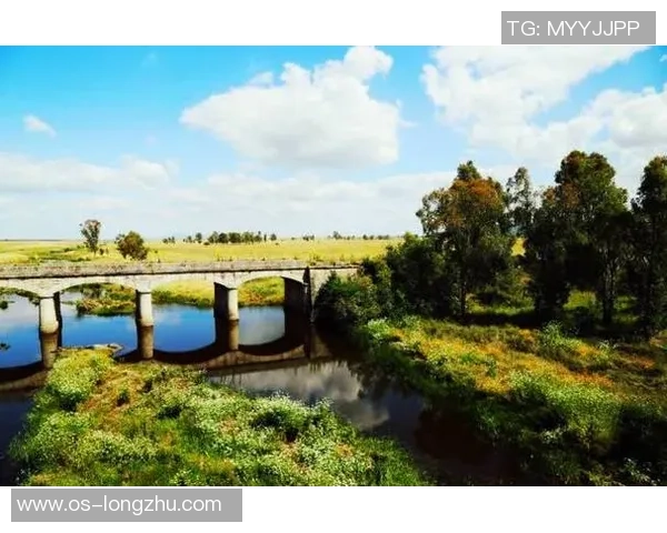 探索埃斯特旺的魅力与历史深度，感受独特文化与自然风光的交融之旅