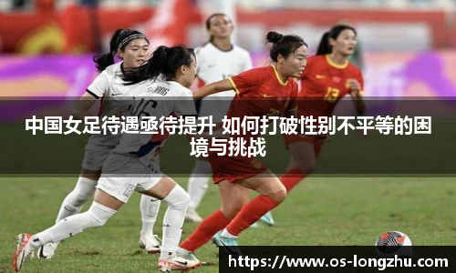 龙珠直播