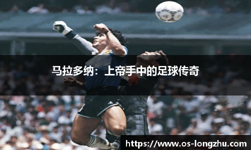 龙珠体育