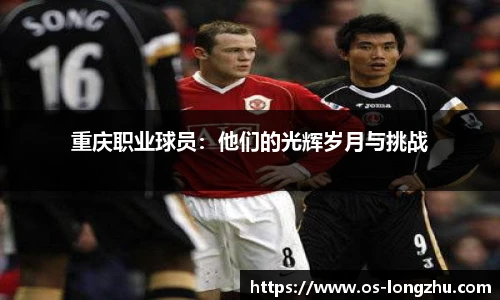 龙珠体育直播