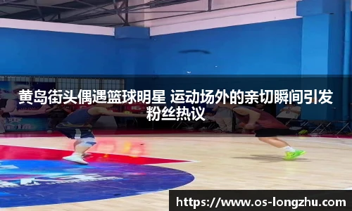 龙珠体育直播