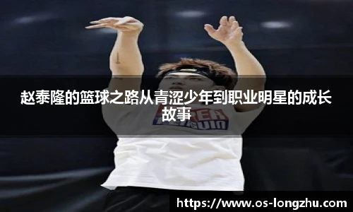 龙珠体育