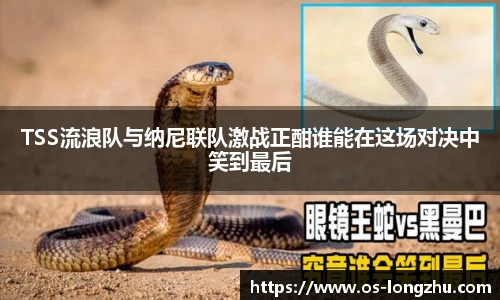 龙珠高清直播