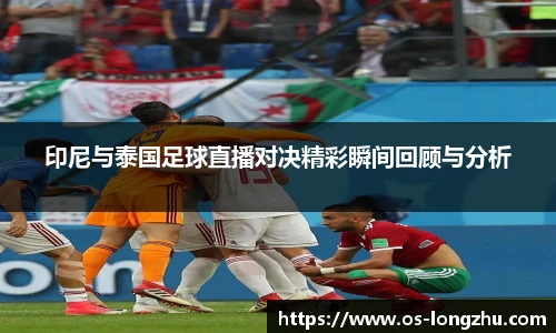 龙珠体育直播