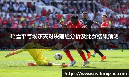 延雪平与埃尔夫对决前瞻分析及比赛结果预测