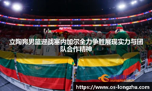 龙珠体育